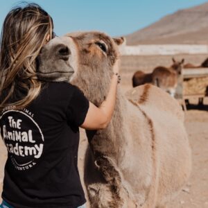 The Animal Academy - Visita guiada