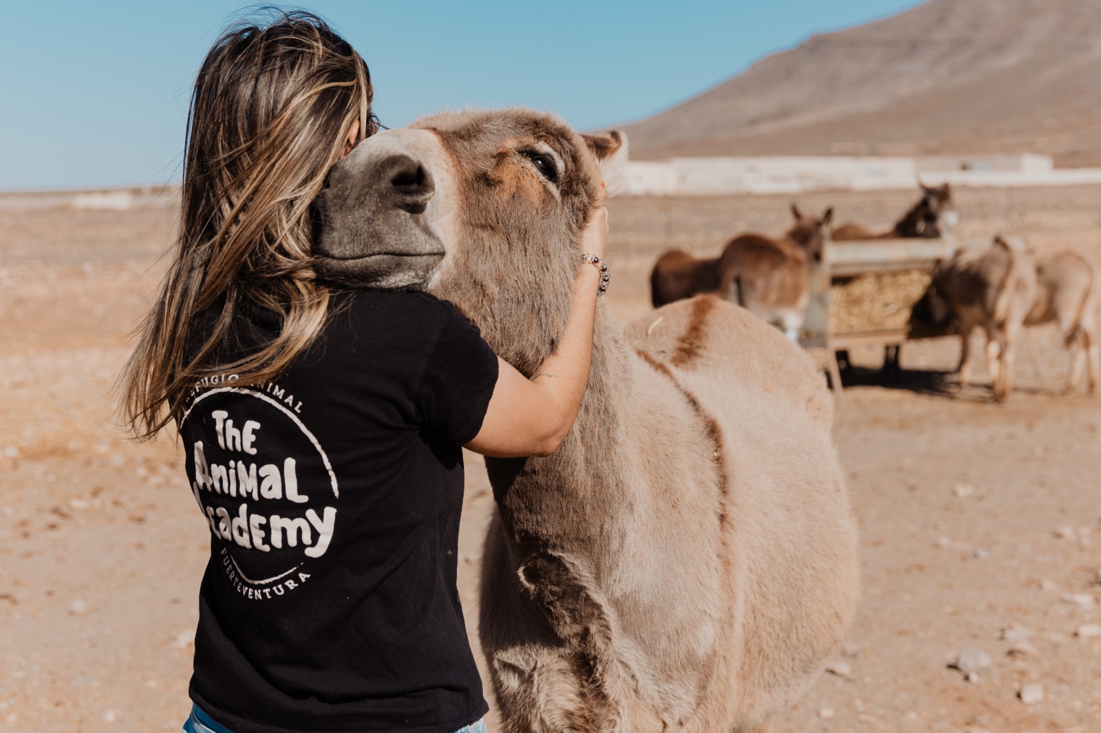 The Animal Academy - Visita guiada
